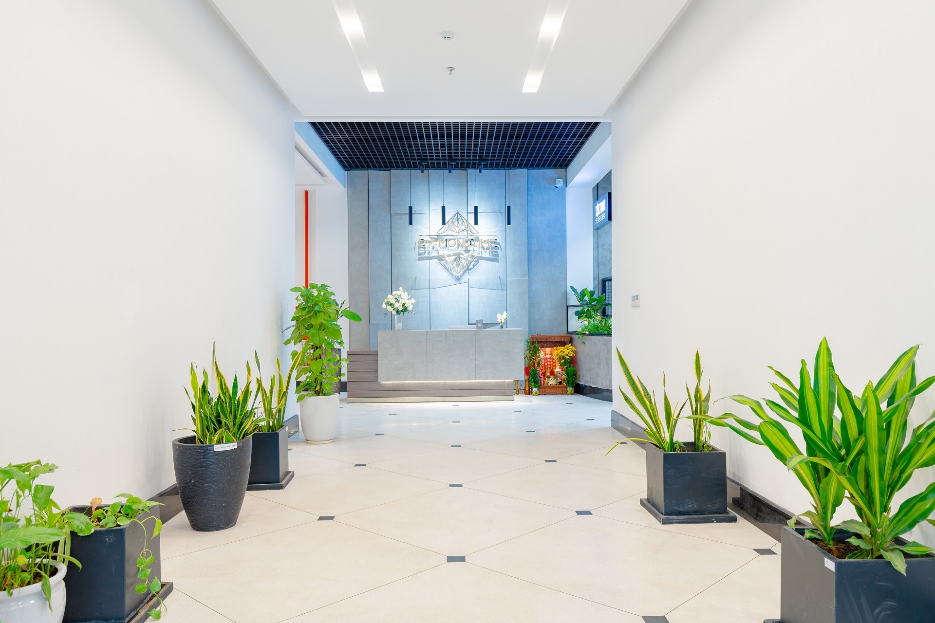 Chụp ảnh văn phòng Tiktak Đà Nẵng 09